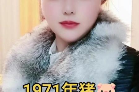 71年属猪和75年属兔相配吗 互补默契配对理想