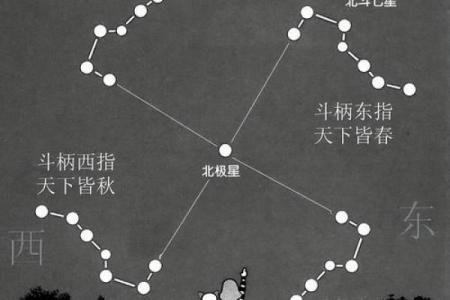 北斗七星是什么星座
