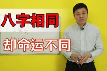 八字相似命运也相同吗