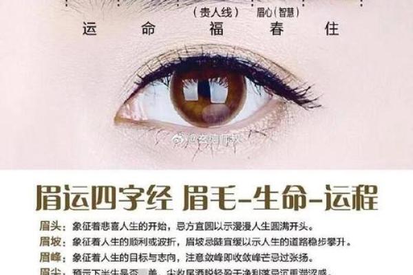 女人眉毛的风水以下眉形的眉毛财运好