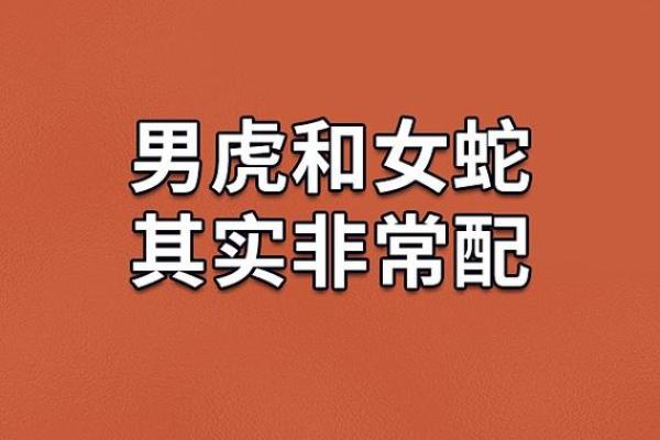 生肖配对 属虎的女人和什么属相最配