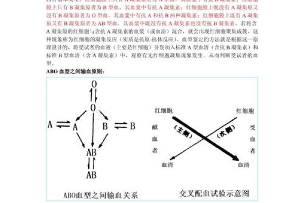 从工作态度判断他的血型