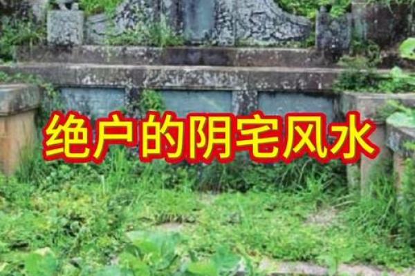 阴宅风水，关于祖坟你了解多少