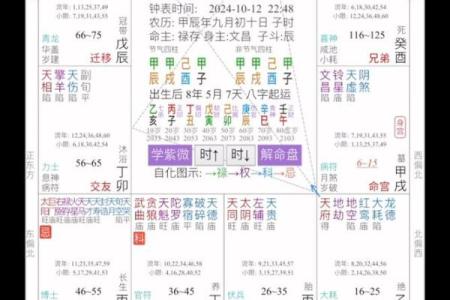 伏羲紫薇斗数