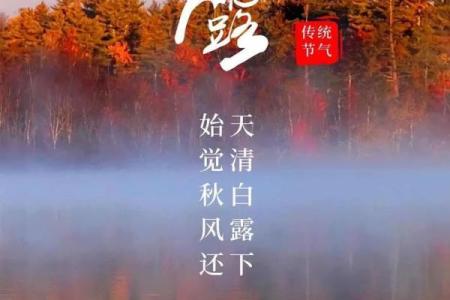 白露节气的含义是什么 白露时节有什么民俗活动