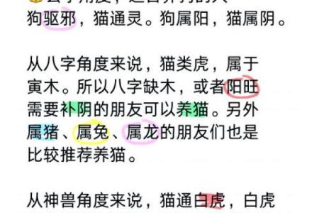 养猫能招财吗？你的八字能养猫吗