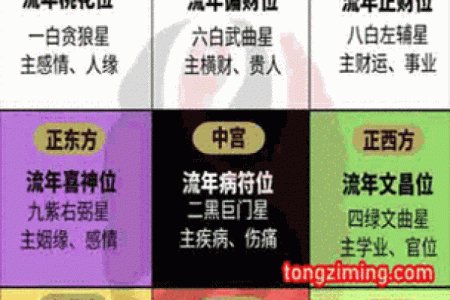 童子命在线排盘速查 根据生辰八字 得出查询结果