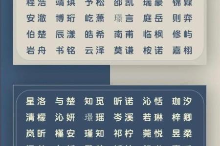 2019年3月28号寅时出生的男孩如何起名姓名