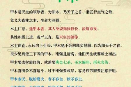 算命说的甲木命是什么
