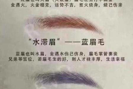 眉毛风水_有科学依据吗