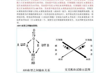 从工作态度判断他的血型