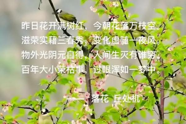 谷雨有什么民俗 谷雨的四言绝句