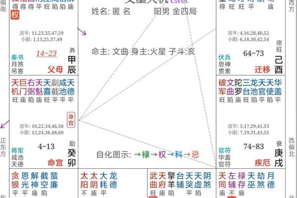 紫薇斗数科技紫微网