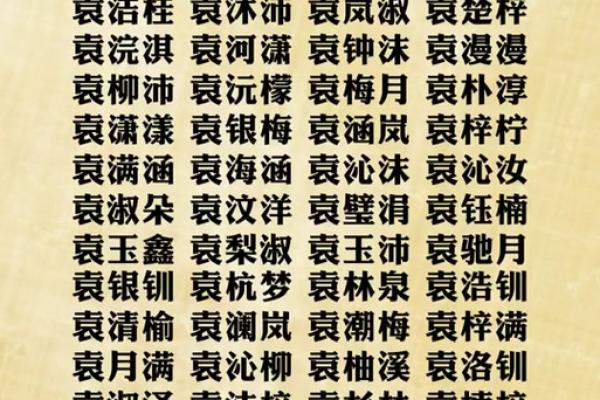 袁姓女孩名字大全-袁姓女孩起名字大全-袁姓名字大全姓名