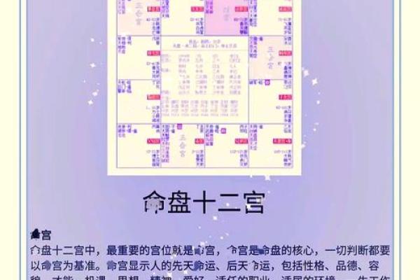 紫薇斗数综合详解
