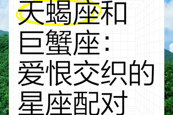 金牛座一区与双子巨蟹座的星座配对