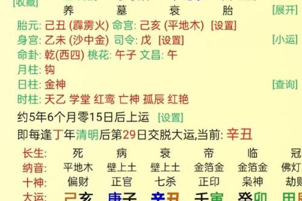 巳月八字