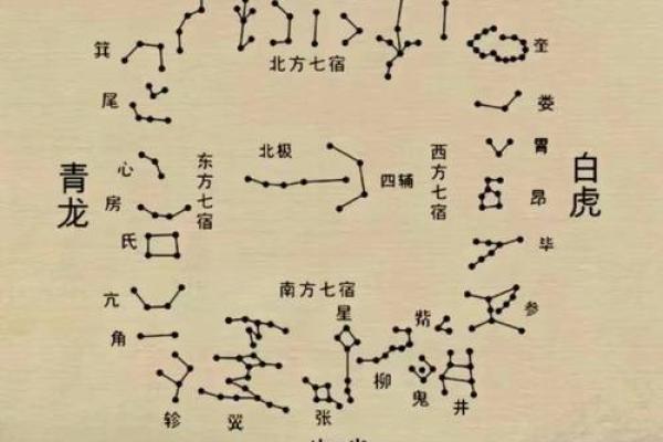 紫薇斗数阴阳星