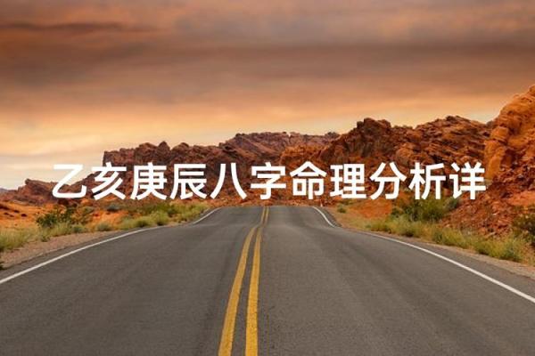 乙亥日八字