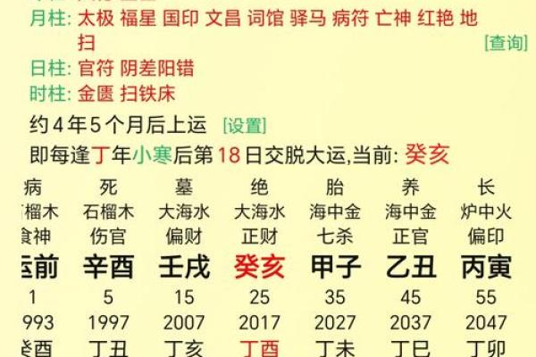 乙亥日八字