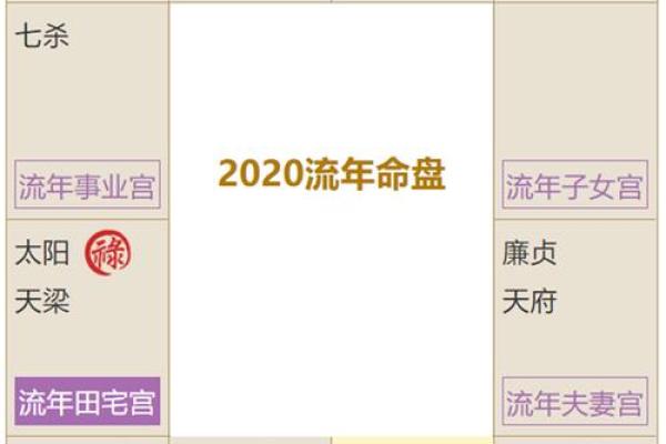 紫薇斗数怎么看禄转忌