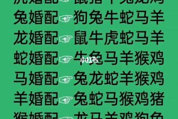 哪个属相夫妻配对好？这5对简直绝配，在一起就不会分开