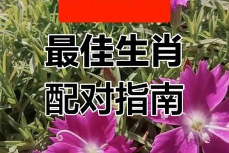 生肖配对指数 生肖配对指数真的准吗
