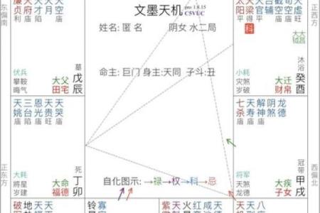 紫薇斗数择日择吉趋吉避凶