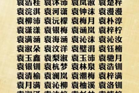 袁姓女孩名字大全-袁姓女孩起名字大全-袁姓名字大全姓名