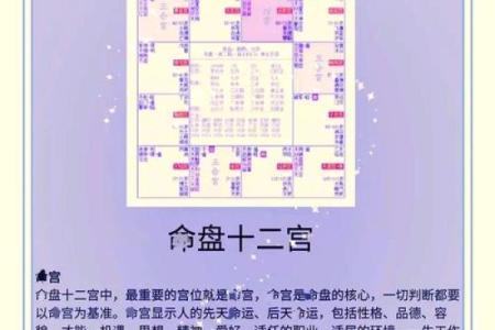 紫薇斗数综合详解