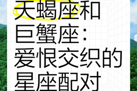 金牛座一区与双子巨蟹座的星座配对