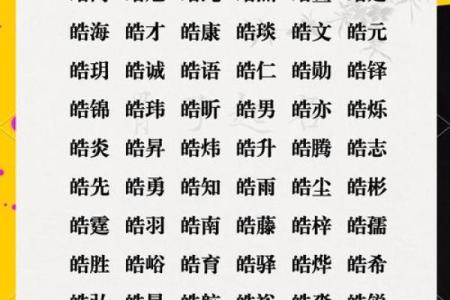 属猪巳时出生的男孩如何取名字，适合用什么字姓名