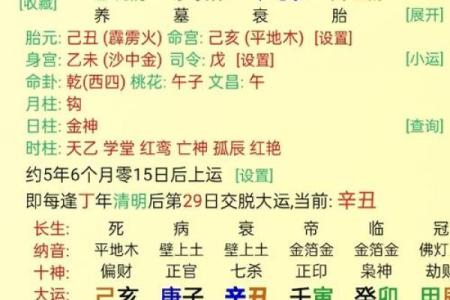 巳月八字
