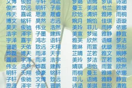 小孩子昵称都是有哪些-姓名学-华易网姓名