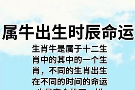 巳时算命,巳时出生的人运势
