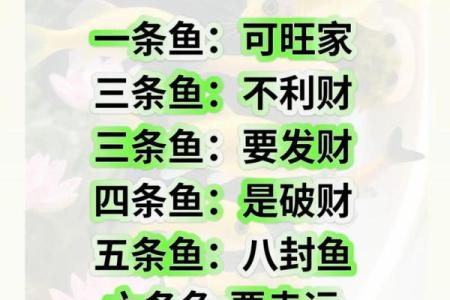 家里养风水鱼养几条比较好？有什么讲究吗？