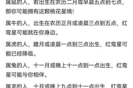 紫薇斗数中提到的红鸾是什么意思