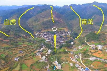 灵签青龙得位