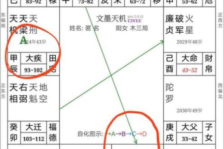 紫薇斗数怎么看禄转忌