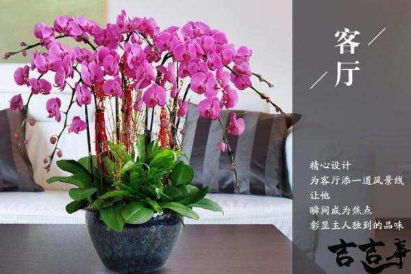 绿花瓶 风水