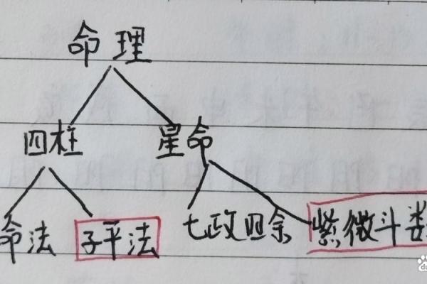 八字板如何用？八字命理应用技巧详解