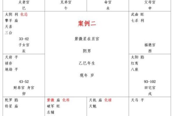 紫薇斗数里的病指什么