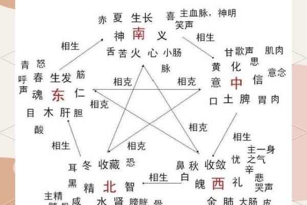 风水布局中的五行定律