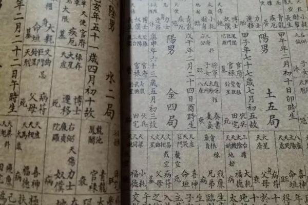 紫薇斗数科技算命
