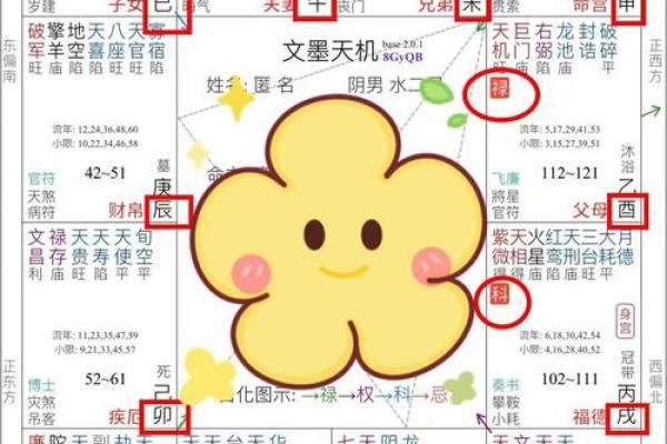 免费查紫薇星盘入宫是什么意思