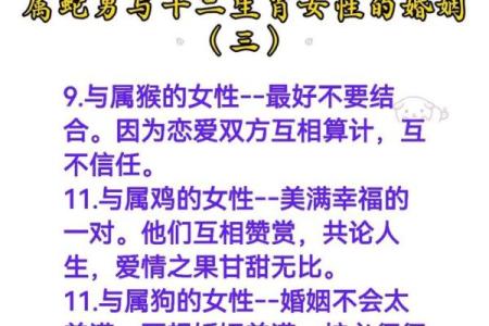 婚姻配对属龙和属蛇姻缘怎么样