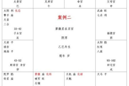 紫薇斗数里的病指什么