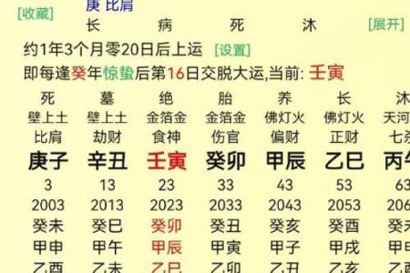 胎记算命的位置与命运