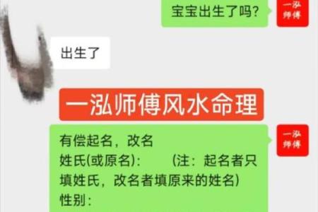 查八字起名