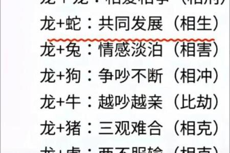 最准的12生肖配对表男龙女兔马 属相婚配男龙女兔